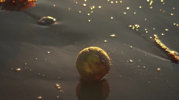 Tennis Ball Sandy Beach Golden Hour Washed Ocean Wave — Stockvideo