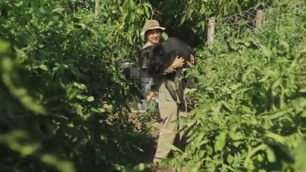 Sezónní Piking Pracovník Relaxovat Legrační Pes Uvnitř Zahradní Farmy Zemědělské — Stock video