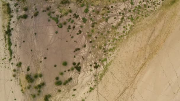 夕暮れ時にアリゾナ州の乾燥湖の航空トラックのショット 地球温暖化と気候変動 乾燥オーランド山を背景にバター湖 — ストック動画