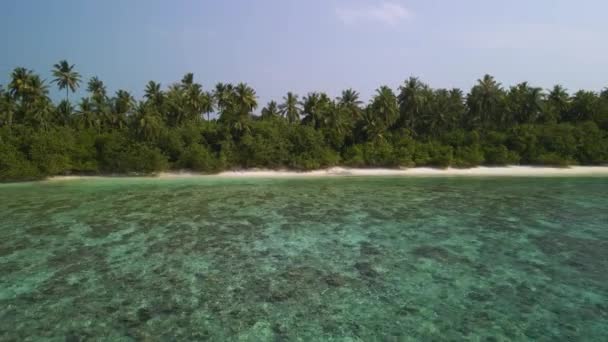 Drone Flying Island Green Trees Open Ocean Blue Water Rocks — Wideo stockowe