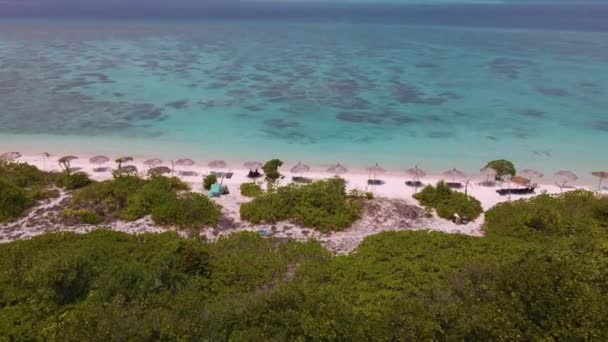 Voo Drone Sobre Praia Com Guarda Chuvas Palmeiras Direção Água — Vídeo de Stock