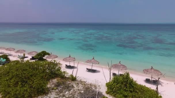 Drone Flight Beach Palm Umbrellas Turquoise Water Ocean — Vídeo de stock