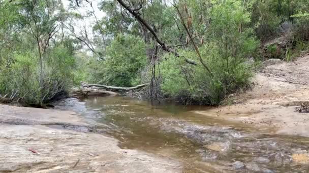 Fluxo Flui Através Uma Trilha Incêndio Austrália — Vídeo de Stock