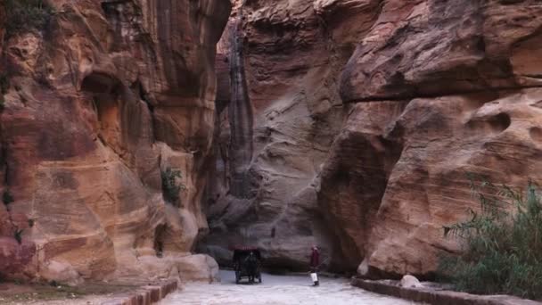 Traditionella Häst Dragna Vagnar Kör Snabbt Inne Siq Canyon Den — Stockvideo