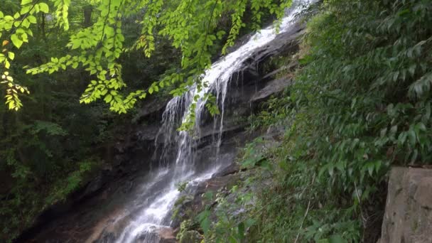 Gentle Waterfall North Carolina Appalachian Mountains Green Summer Day — Stock videók
