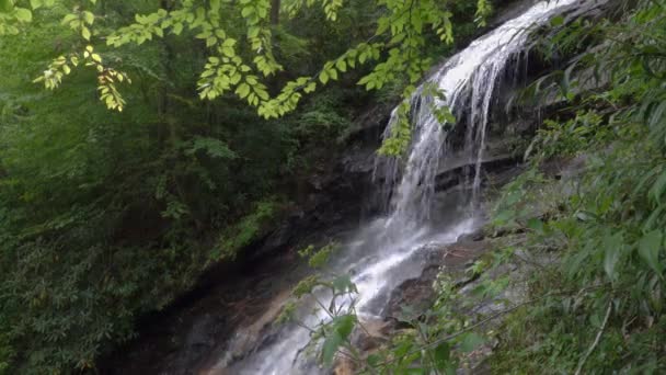 Gentle Waterfall North Carolina Appalachian Mountains Green Summer Day — Stock video