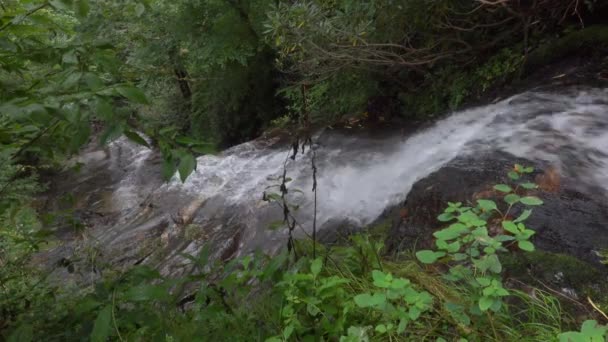 Zachte Waterval North Carolina Appalachian Mountains Een Groene Zomerdag — Stockvideo