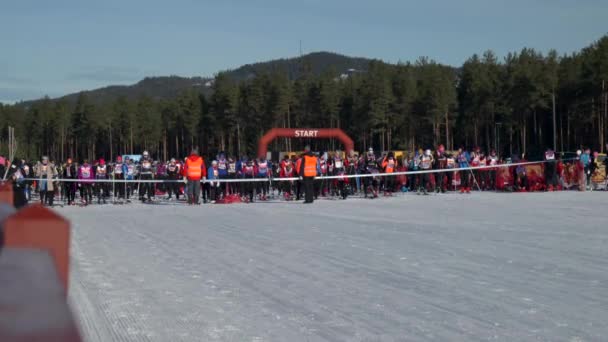 女滑雪者从一开始就为Tjejvasan做准备 女滑雪者的Vasaloppet — 图库视频影像
