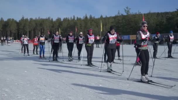 Famous Cross Country Ski Race Competition Tjejvasan Starting Point Oxberg — Stock Video