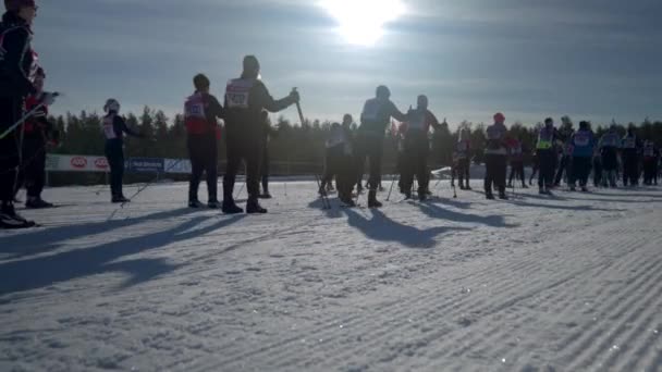 Narciarki Tjejvasan Cross Ski Race Tuż Przed Startem Low Angle — Wideo stockowe