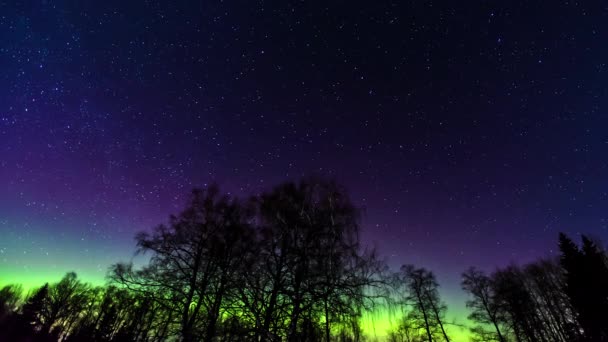 Снимок Солнечной Бури Низким Углом Над Сосновым Лесом Ночью Галактика — стоковое видео