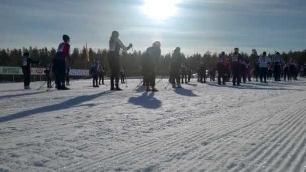 Tłum Narciarzy Vasaloppet Tjejvasan Cross Ski Race Zaczynając Powoli Niski — Wideo stockowe