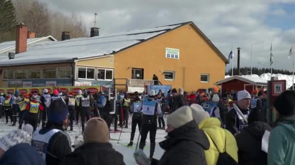 Cross Country Esquiadores Multidões Corrida Esqui Vasaloppet 100 Celebração Aniversário — Vídeo de Stock