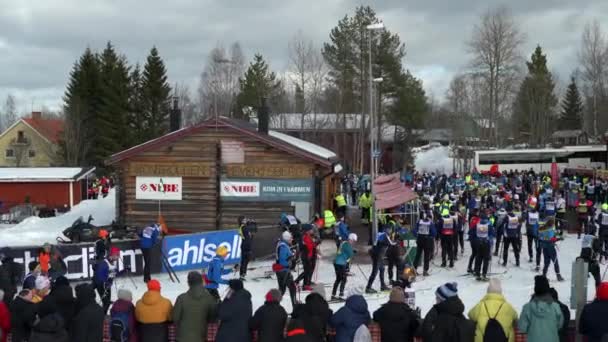 Skier Chegando Evertsberg Vasaloppet Ski Race Multidões Esperando Estabelecendo Tiro — Vídeo de Stock