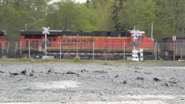 Tren Mercancías Pasa Por Cruce Del Ferrocarril Disparo Estático — Vídeos de Stock