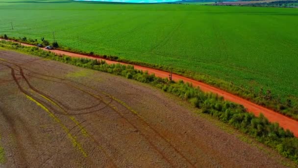 Riesige Flächen Der Brasilianischen Savanne Abgeholzt Damit Farmen Ernten Einfahren — Stockvideo