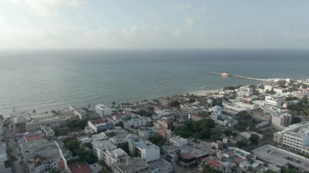 Sargassum Alger Stranden Playa Del Carmen Quintana Roo Mexico — Stockvideo