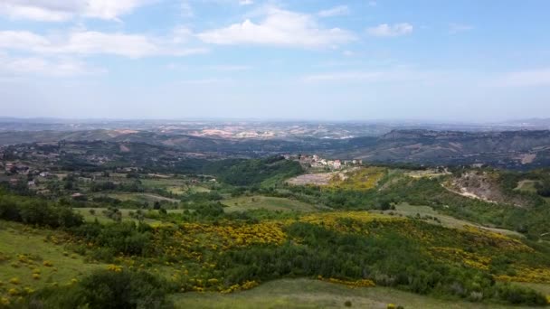 Aerial Shot Vast Green Land Field Landscape Small Town — Video