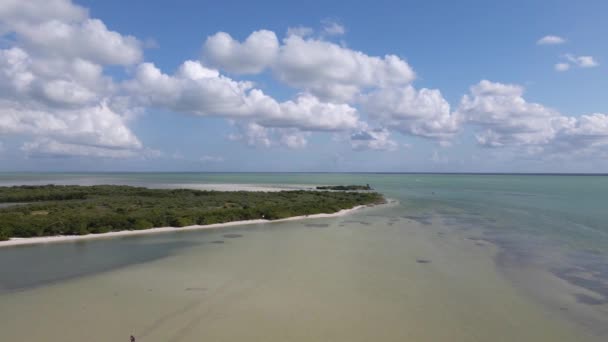 Ampio Angolo Drone Colpo Dove Mangrovia Incontra Mare Dei Caraibi — Video Stock
