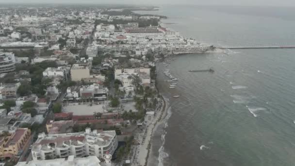 Φυκιά Sargassum Στην Παραλία Playa Del Carmen Quintana Roo Μεξικό — Αρχείο Βίντεο