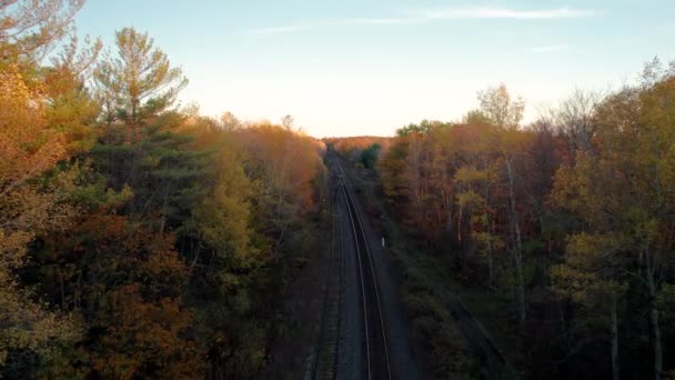 Eisenbahnkorridorgleise Fahren Durch Wunderschöne Herbstwaldlandschaft Mit Leuchtend Gelben Bäumen — Stockvideo