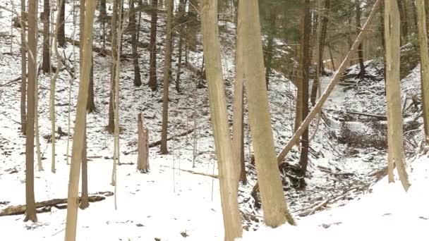加拿大安大略省汉密尔顿市冬季的尼亚加拉陡坡 平底锅 — 图库视频影像