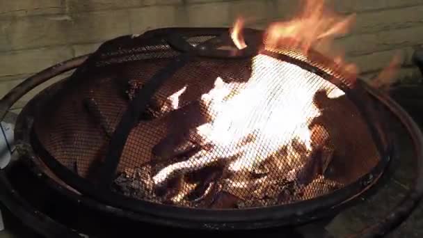 Fire Pit Flame Wood Coals Handheld Gimble Medium Shot — Stock Video