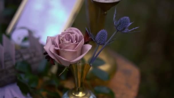 Nahaufnahme Von Zärtlichkeit Rosa Stieg Blumenhintergrund Weicher Farbe Und Unscharfem — Stockvideo