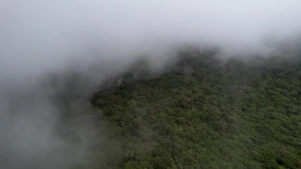 Sideways pan of green forest mountain with clouds. Heavy fog drifting by from left to right side.