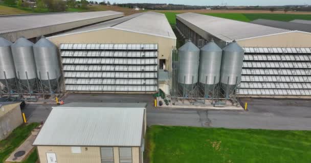 Kippenhok Eieren Leggen Kippen Slachtkuikens Fabrieksboerderij Houdt Zich Bezig Met — Stockvideo