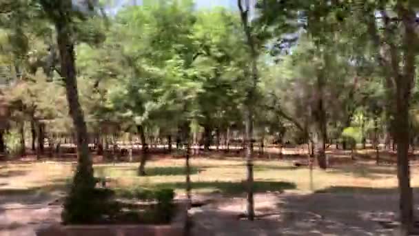 Seitlicher Blick Auf Picknickplatz Mexiko Stadt — Stockvideo