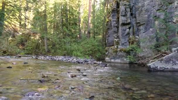 Eau Peu Profonde Traversant Une Rivière Rocheuse Avec Des Falaises — Video