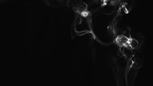 Realistic Cloud Smoke Streamline Pattern Abstract Black White Smoke Dark — Stock Video