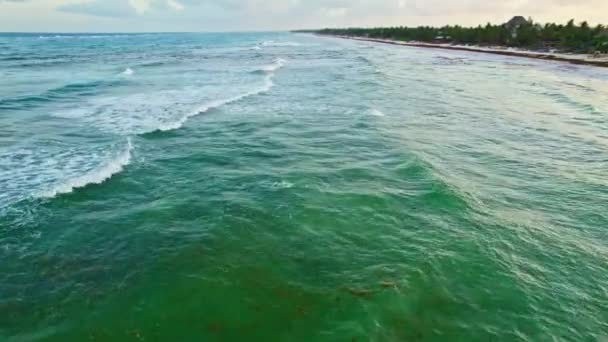 Luchtfoto Drone Uitzicht Mexicaanse Beach Surf Spot Met Hoge Getijdenlaag — Stockvideo