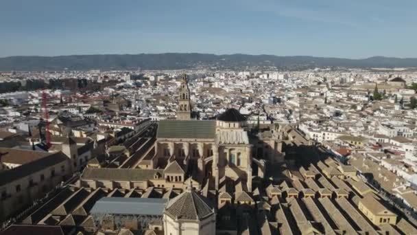 Cordoba Mosque Cathedral Cityscape Background Aerial Pullback — 비디오