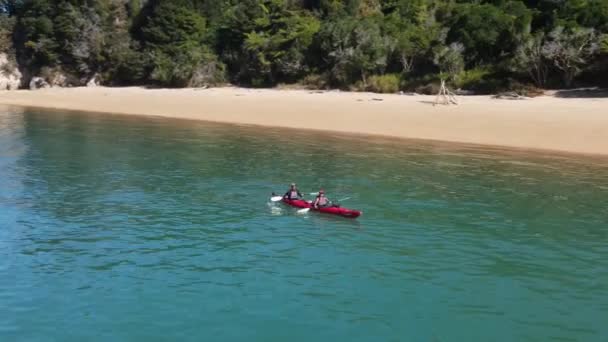 Kilka Kajaków Zwiedzanie Wybrzeża Abla Tasmana Nowej Zelandii Malownicze Wybrzeże — Wideo stockowe