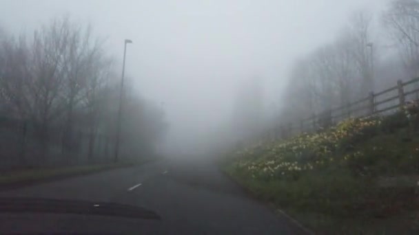 ハメ撮り運転霧の田舎道早朝交通安全ハザード厚い密な霧 — ストック動画