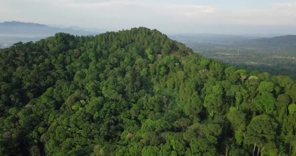 アジアの曇りの日に山の頂上で成長する鬱蒼とした森の木々 丘の風景の壮大な景色の概要 — ストック動画
