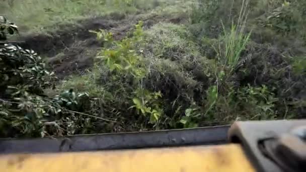 Looking Bucket Blade Bulldozer Illegal Deforests Brazilian Savannah — Stock Video