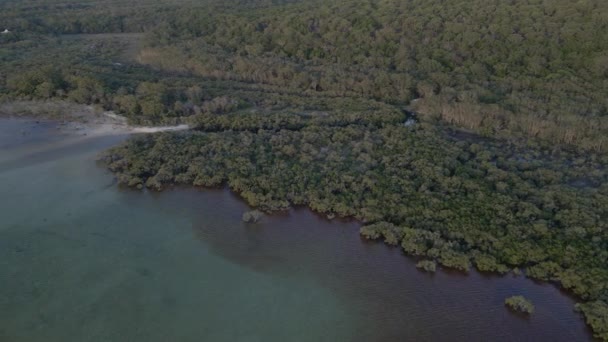 Amity Point Széles Ültetvénye Repülő Fox Creek Nyugodt Vize Queenslandben — Stock videók