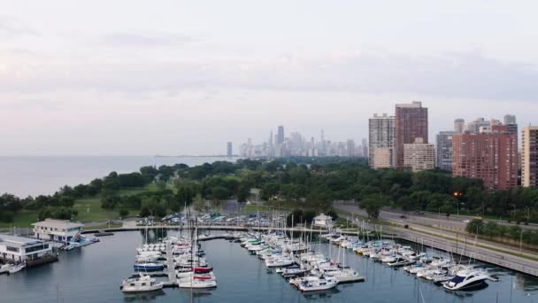 Drone Vliegen Boven Haven Het Centrum Van Chicago — Stockvideo