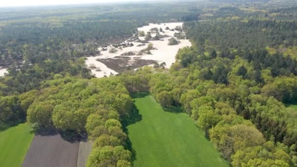 Aerial Wydm Piaskowych Otoczony Zielonym Kolorowym Lasem — Wideo stockowe