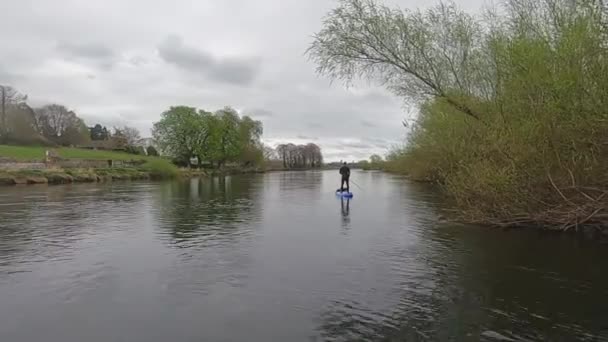 Riparian Birds Bucolic Countryside Peaceful Paddleboard River — Vídeo de stock