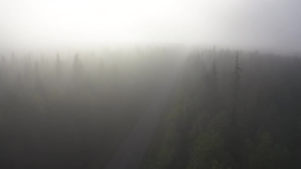 在浓雾中沿着森林道路飞行的空中镜头 — 图库视频影像