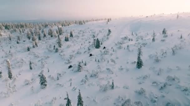 Finlandiya Karla Kaplı Dağda Kar Motosikletine Binen Bir Grup Insan — Stok video