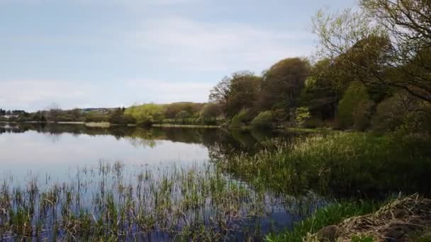 Lindores Loch Skottland Lugn Och Härlig Vårmorgon — Stockvideo