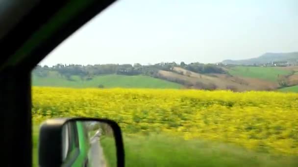 Vista Paisagem Amarela Colza Fazenda Carro Dirigindo Rápido Estreitou Fora — Vídeo de Stock