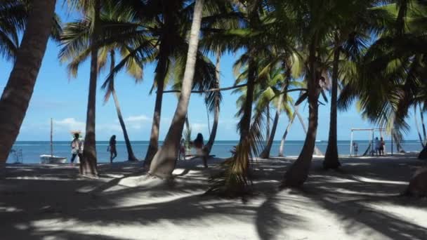 Девушка Качающаяся Тропическом Пальмовом Пляже Другие Люди Проходящие Мимо — стоковое видео
