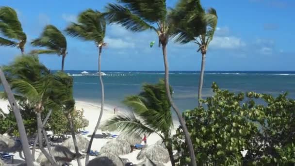 Gleitschirm Über Dem Meer Mit Tropischer Palmenstrandküste Drohne Weitschuss — Stockvideo