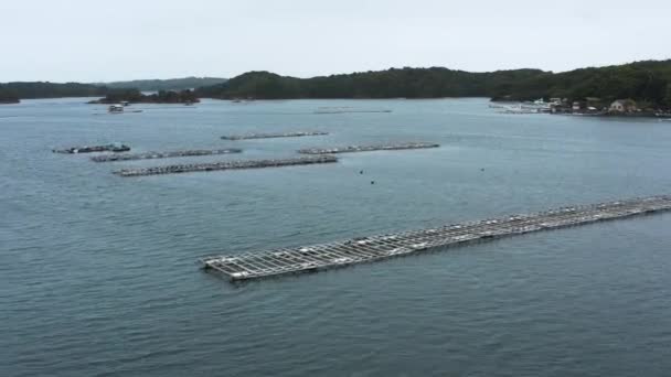 Pearl Cultivation Farm Ago Bay Mie Prefecture Japan Aerial View — Vídeo de stock